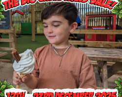 Christmas Gift: ANNUAL PASS RENEWAL - Person with Disabilities (2yrs+) - No Carer