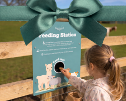 Day Entry Gift Voucher £20