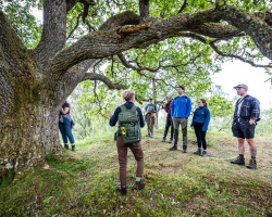 Rewilding Tour 1 Hour