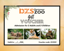 DZS 2 Adults & 2 Children Admission