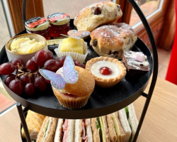 Afternoon Tea Adult