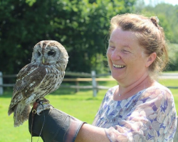 Owl Experience - 2 persons