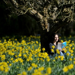 Single membership gift membership, valid for 1 designated adult