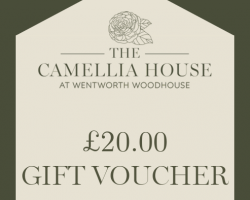 The Camellia House | £20.00 Gift Voucher
