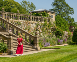 General Admission - Adult