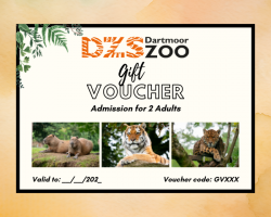 DZS 2 Adults Admission