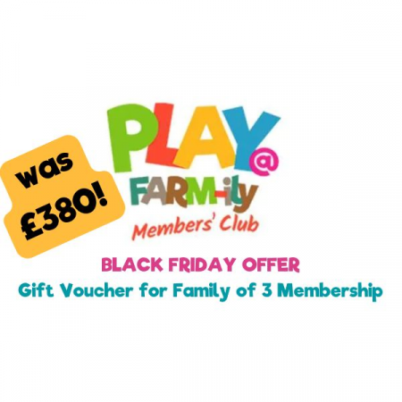 Family of 3 PLAY@ Membership Voucher