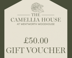 The Camellia House | £50.00 Gift Voucher