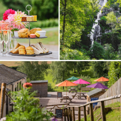 Canonteign Falls Entry and Prosecco Afternoon Tea for Two