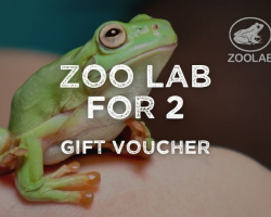 ZooLab at The Buffalo Farm for 2