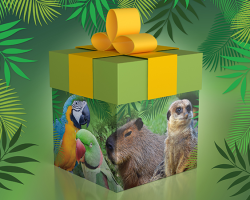 Child Gift Day Ticket