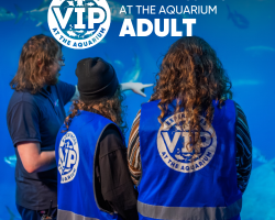 Gift Ticket - Behind the Scenes at The Aquarium Tour - ADULT