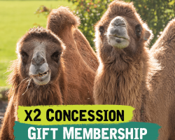 x2 Concession Gift Membership