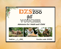 DZS 1 Adult & 1 Child Admission