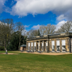E- Gift Voucher | The Camellia House