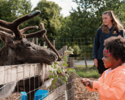 FAMILY FARMYARD VIP EXPERIENCE VOUCHER