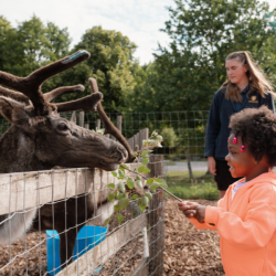FAMILY FARMYARD VIP EXPERIENCE VOUCHER
