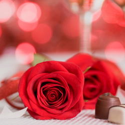 Romantic One Night Escape for Two