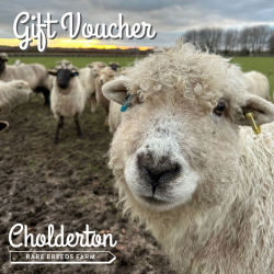 Gift Vouchers