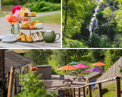 afternoon tea at Canonteign Falls