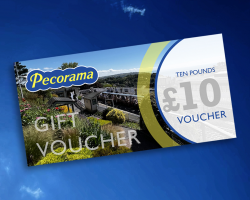 £10 Gift Voucher