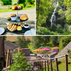 Prosecco afternoon tea at Canonteign Falls