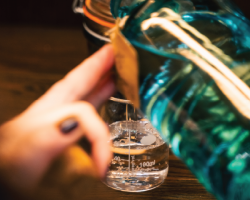 Adult Gin School Experience For 2