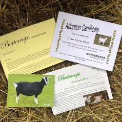 Goat Adoption Gift Voucher