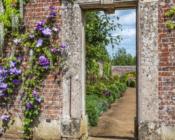 Gift Voucher - Garden Tour for one Adult (17+)