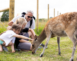 Deer Meadow Breakfast Experience