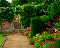 Gift Voucher - Garden Tour for one Senior (60+)