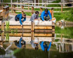 Pond Dipping