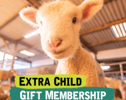 Additional Child Gift Membership