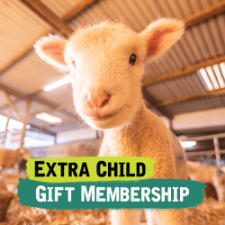 Additional Child Gift Membership