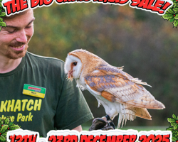Christmas Gift: OWL EXPERIENCE - 2 persons