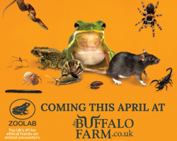 x1 Ticket for ZooLab