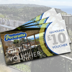 £10 Gift Voucher