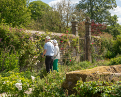 General Admission - Concession (Over 60)