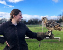 Falconry VIP Experience Gift Voucher