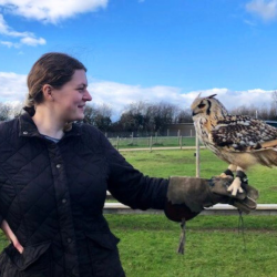 Falconry VIP Experience Gift Voucher