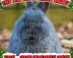 Christmas Gift: ANIMAL KEEPER EXPERIENCE - 2 persons