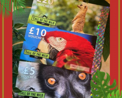 Call Of The Wild Zoo Gift Voucher