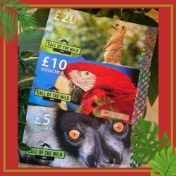 Call Of The Wild Zoo Gift Voucher