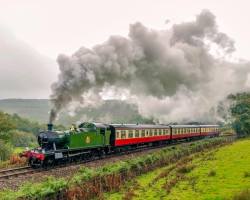 Adult All Line Ticket