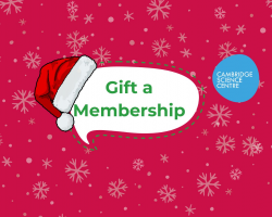 Child Aged 2-3 Annual Membership Pass