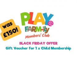 1 child PLAY@ membership voucher.