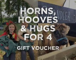 Horns, Hooves & Hugs for 4