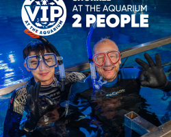 Gift Ticket - Snorkel at the Aquarium