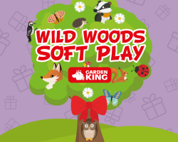 Wild Woods Soft Play Gift Voucher