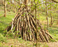Shelter Building Activity Voucher